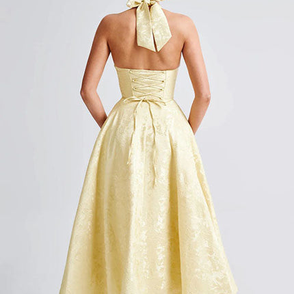 Women’s Dress | V-Neck Halterneck Maxi