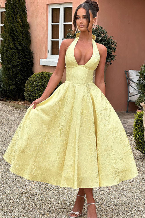 Women’s Dress | V-Neck Halterneck Maxi