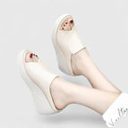 Beige / 5